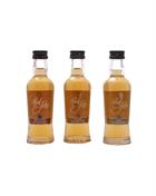Paul John Gift Set Mini Bottle 3x5 cl Indian Single Malt Whisky 46 percent alcohol
